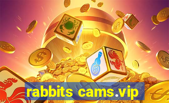 rabbits cams.vip